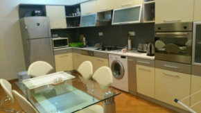 Central Baku Apartment